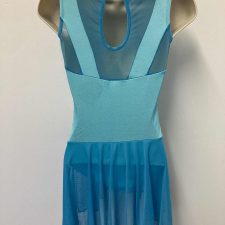 Aqua mesh skirted leotard