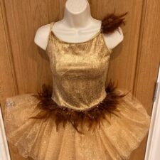 Gold sparkle and velvet tutu with brown feather detail