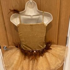 Gold sparkle and velvet tutu with brown feather detail