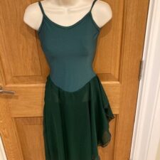 Forrest skirted leotard with chiffon skirt