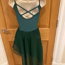 Forrest skirted leotard with chiffon skirt
