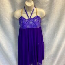 Purple and silver leotard with long chiffon skirt