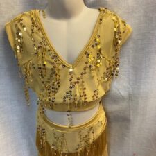 Gold sparkle crop top and fringed bikeshorts