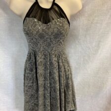 Grey lace and black skirted leotard