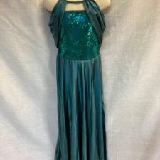 Teal leotard with long skirt