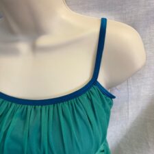 Green and blue mesh skirted leotard