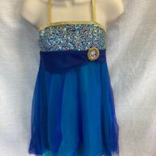 Blue, green and gold sparkle skirted leotard