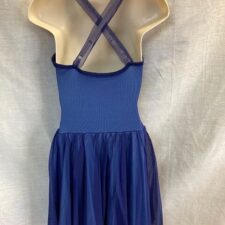 Navy chiffon skirted leotard with pale blue lining
