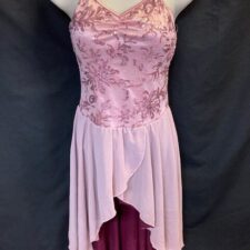 Dusty Rose and wine tiered skirted leotard with sparkle bodice