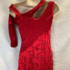 Red velvet sparkle skirted leotard with dangling sequins