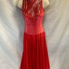 Red velvet and silver skirted leotard with chiffon skirt