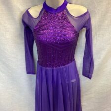 Sequin leotard with mesh sleeves and skirt