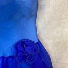 Royal Blue skirted leotard with chiffon skirt
