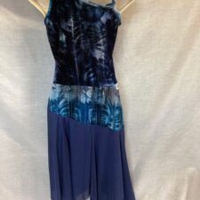 Blue patterned velvet and mesh skirted leotard