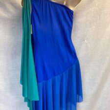 Royal blue and green skirted leotard with asymmetrical hem and wings