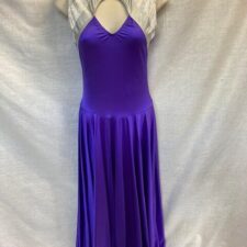 Purple long skirted leotard with silver cap sleeves
