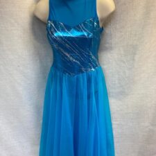 Metallic turquoise and silver skirted leotard