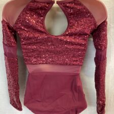 Black Cherry sparkle leotard with mesh panels (optional: add culotte trousers or mesh leggings to complete the look)