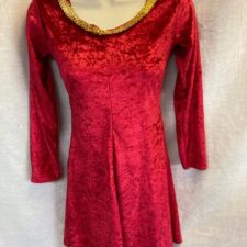 Raspberry velvet dress with gold trim
