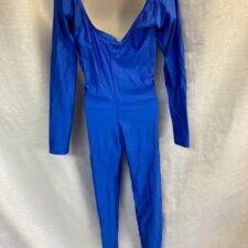 Royal blue lycra catsuit