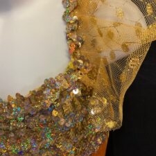 Gold velvet and metallic mesh leotard and skirt