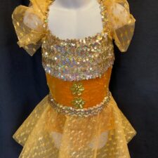 Gold velvet and metallic mesh leotard and skirt