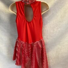Red and silver skirted leotard