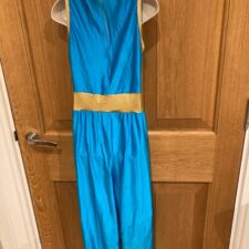 Turquoise and metallic gold all-in-one - Bespoke Measurement Costumes