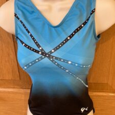 Blue and black ombre leotard