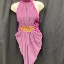 Mauve lycra and chiffon skirted leotard with gold detail
