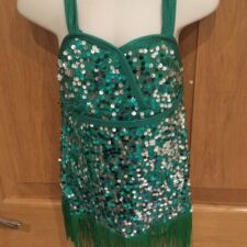 Green and silver sparkle fringed leotard with gloves