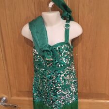 Green and silver sparkle fringed leotard with gloves