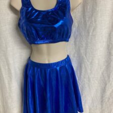 Royal blue metallic crop top and skirt