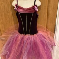 Purple velvet and ombre tutu with flowers
