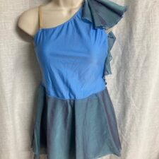 Pale blue and nude chiffon skirted leotard with fly away sleeve