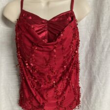 Metallic red top with dangly sparkles