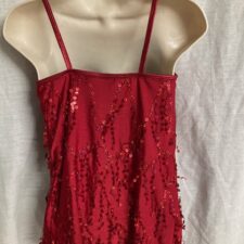 Metallic red top with dangly sparkles