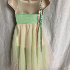 Mint and pink floral skirted leotard