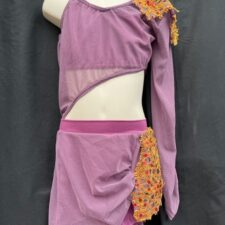 Mauve skirted biketard with mesh sleeve and gold/red sequin detail