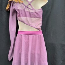 Mauve skirted biketard with mesh sleeve and gold/red sequin detail