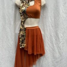 Rust crop top and attached asymmetrical chiffon skirt with heavy gold sequin detail
