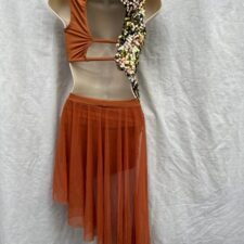 Rust crop top and attached asymmetrical chiffon skirt with heavy gold sequin detail