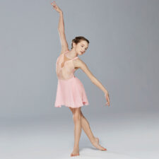 Pale pink lace and nude skirted leotard