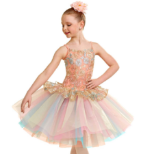 Peach and pale blue floral bodice with rainbow tutu