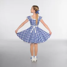 Blue and white check dress (apron not included)