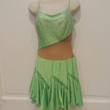 Green and silver dress with nude insert