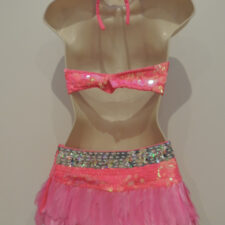 Hot pink and silver 2 piece with feather skirt