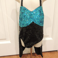 Black and turquoise sequin leotard with tails