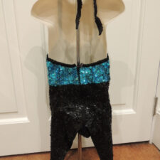 Black and turquoise sequin leotard with tails