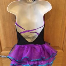 Leotard with draped skirt, sequined bodice and bustle